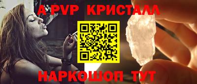 СК Рыбинск