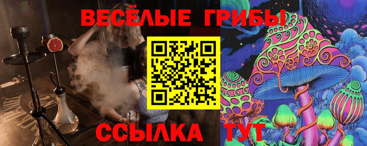 Псилоцибиновые грибы MAGIC MUSHROOMS  Вход с VPN  Шадринск 